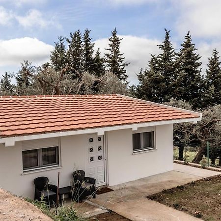 Apartmán Olive Grove Bar Exteriér fotografie